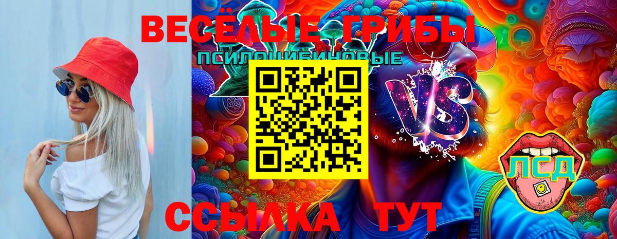 Псилоцибиновые грибы GOLDEN TEACHER  Вход с VPN  Псилоцибиновые грибы мухоморы  Киреевск 